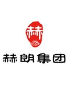 河南赫朗企業(yè)管理咨詢集團 專業(yè)護航企業(yè)發(fā)展的智慧伙伴